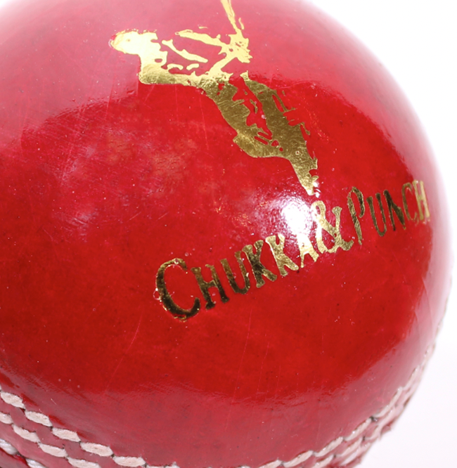 Cricket Ball Door Stop