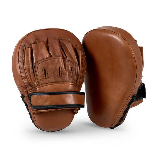 Boxing focus mits